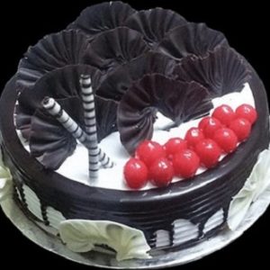 Choco Forest Glaze Cake