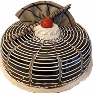 Chocolate Glace Cake